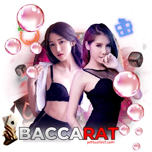 ค่า สิ โน สล็อต